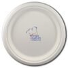 Custom Paper Plates